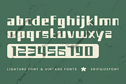 Classica Crastao Font, a Font by Erifqizefont (Thumbnail 3 of 15)
