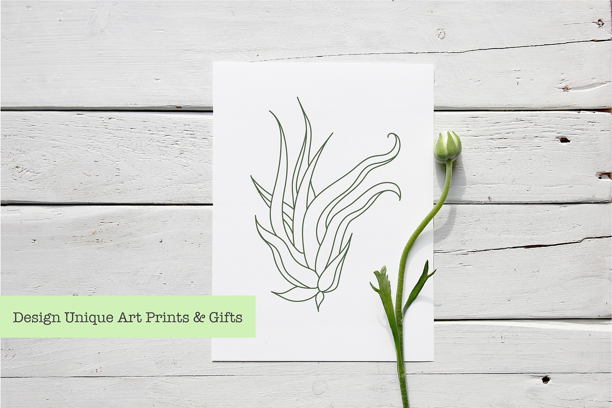 Air Plant Ink Illustration Set, an Illustration by Hannah Eliza Studio (Photo 5 of 5)