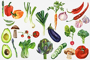 Organic Food: Watercolor Vegetables, a Food Illustration by Artcard Watercolor (Thumbnail 3 of 17)