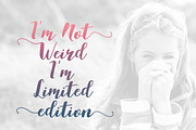 Aldine Script (20% off), a Script Font by khurasan (Thumbnail 2 of 8)
