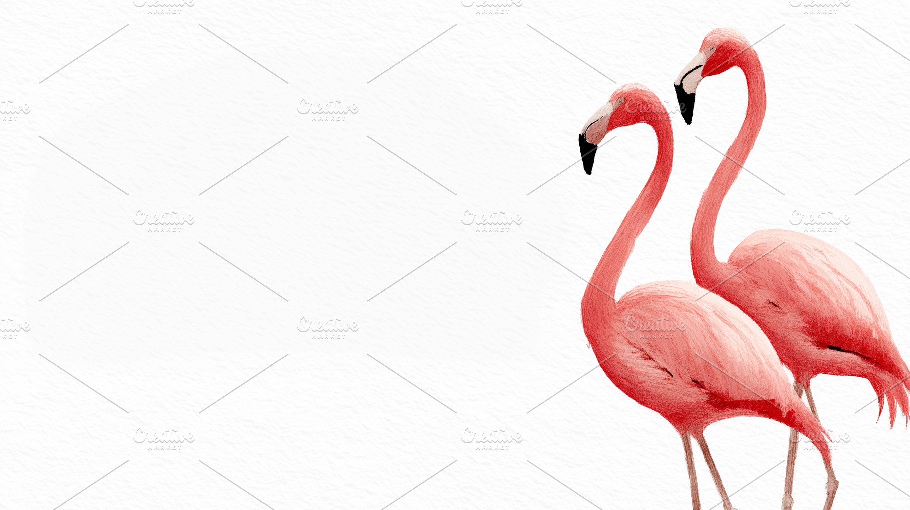 Two pink flamingos elegantly stand, an Animal Photo by MistyDay