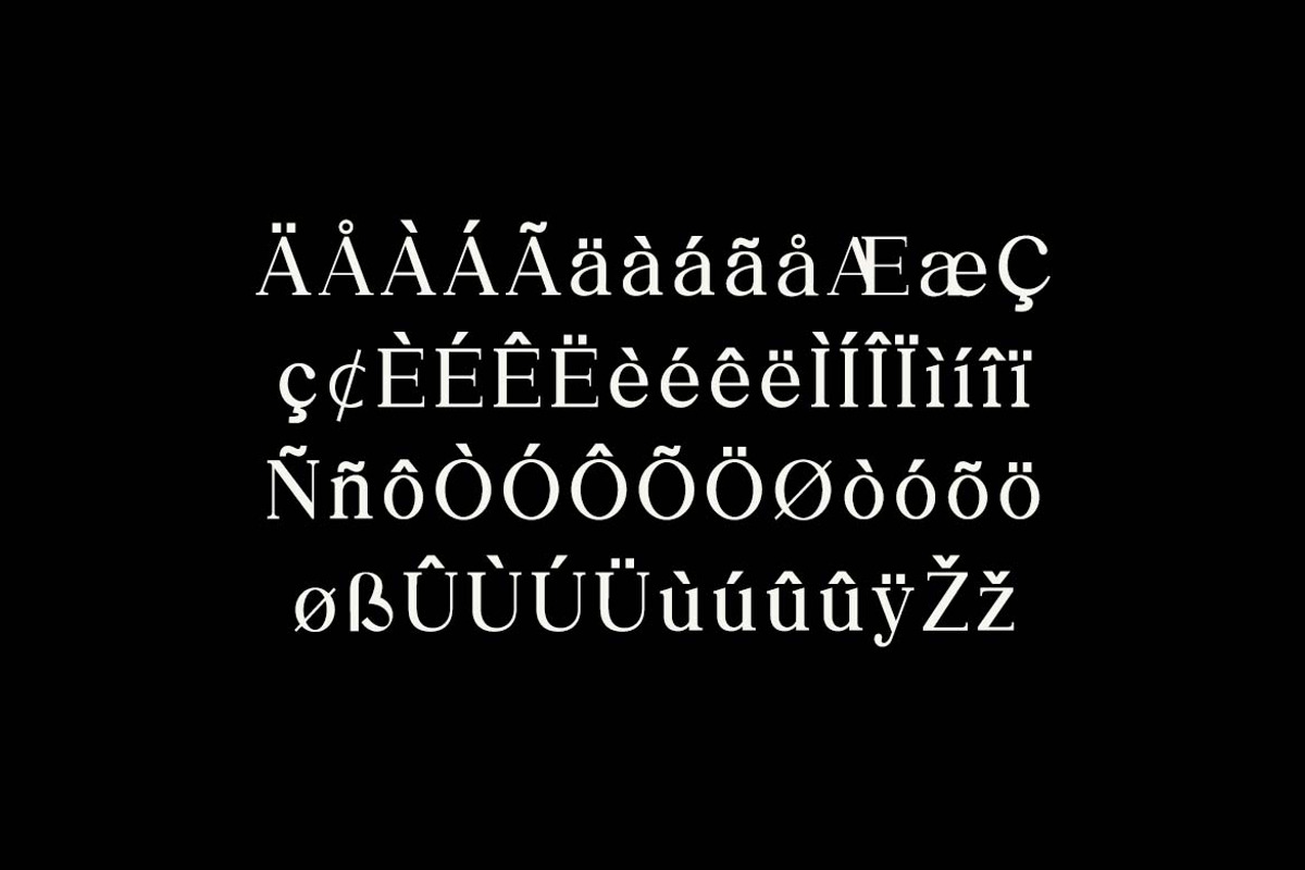 The Regalique Sans Serif Family Font, a Serif Font by UICreative (Photo 13 of 13)