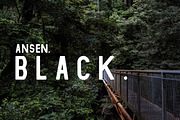Ansen | An Adventurous Family, a Sans Serif Font by Zone 6 (Thumbnail 12 of 13)