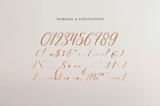 Celtaniya Bioffany Calligraphy, a Script Font by gracetype_studio (Thumbnail 11 of 14)