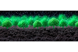 A macro photograph showcases the, a Nature Photo by ZinetroN