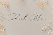 Andaluse Selioth Beauty Script Font, a Script Font by Storytype Studio (Thumbnail 15 of 15)
