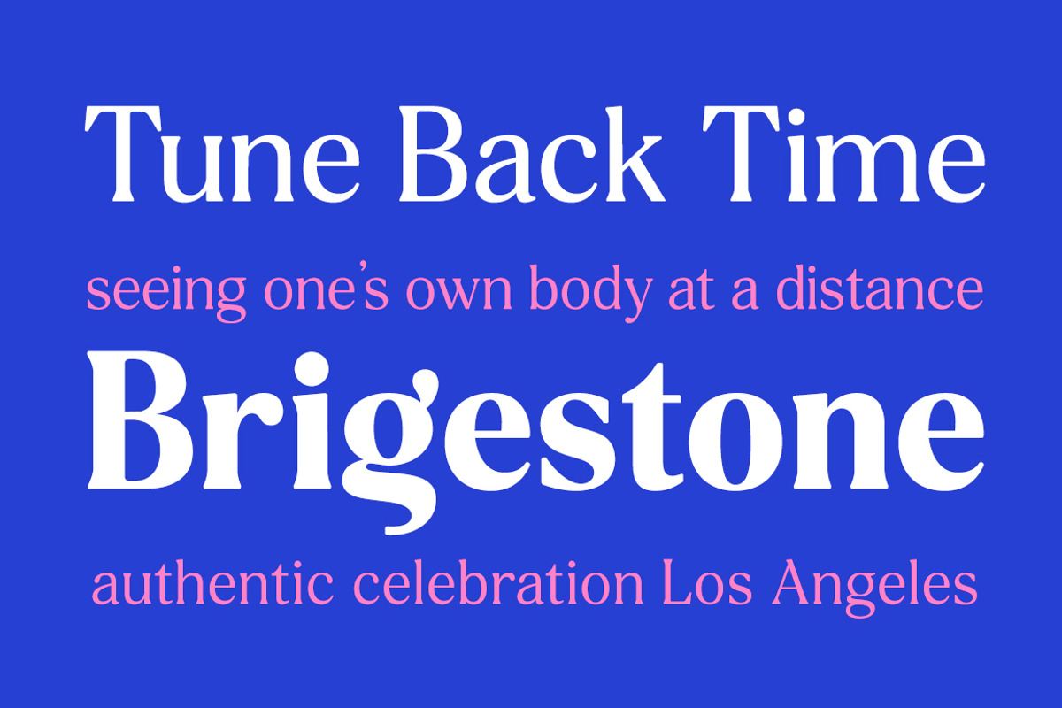 Delvona Serif Family, a Serif Font by Mulkan Nazir (Photo 2 of 15)