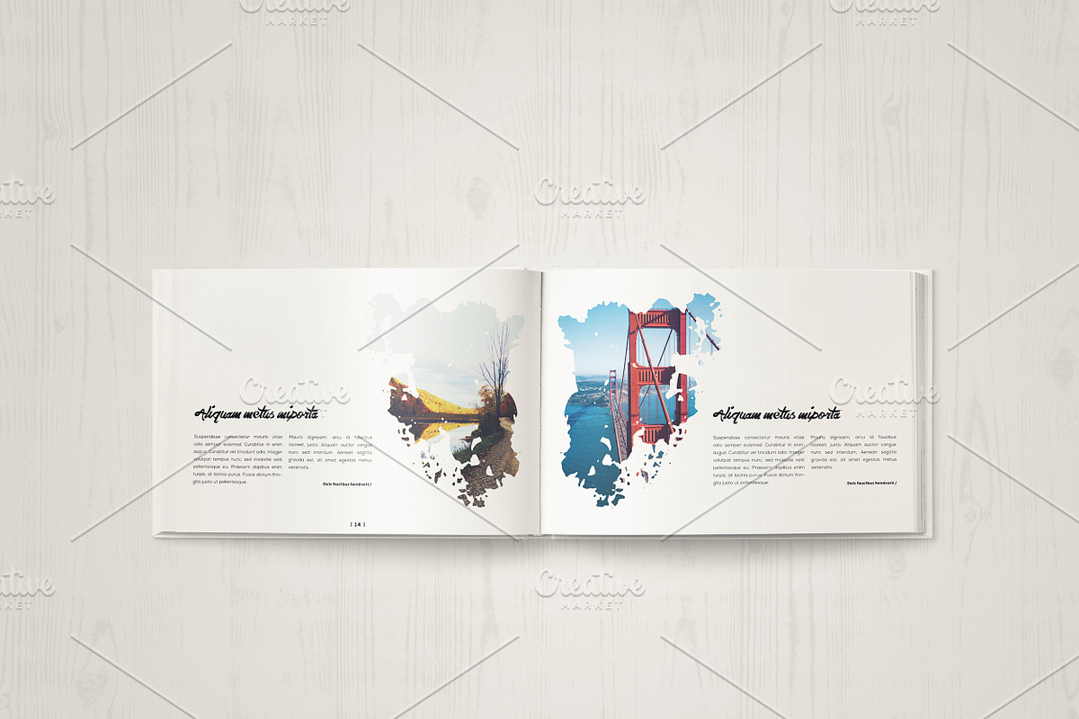 Multipurpose Portfolio Brochure, a Brochure Template by ShapShapy (Photo 10 of 17)