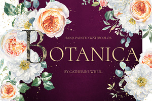 Watercolor Botanical Florals