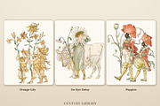 Vintage Flower Fairy Illustrations, a Decorative Illustration by Century Library (Thumbnail 6 of 10)