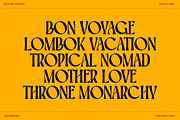Belvare - Retro Aesthetic Serif, a Serif Font by CCS Type (Thumbnail 4 of 22)