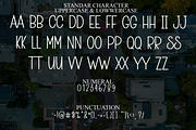 Abstrak, a Serif Font by FreshTypeINK (Thumbnail 7 of 8)