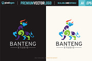 Bull Studio Logo, a Branding & Logo Template by pixelogan (Thumbnail 2 of 2)