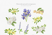 Essential Oils Botanical watercolor, a Healthcare Illustration by Volha Studio (Thumbnail 6 of 11)
