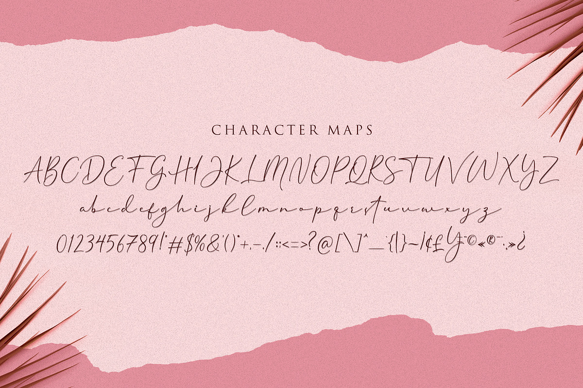 Cherolina-Lovely Elegant Script, a Script Font by Almarkhatype (Photo 10 of 13)