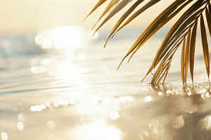 Blurred background of exotic ocean shores with palm leaves and g, a Photo by Dvoevnore photos