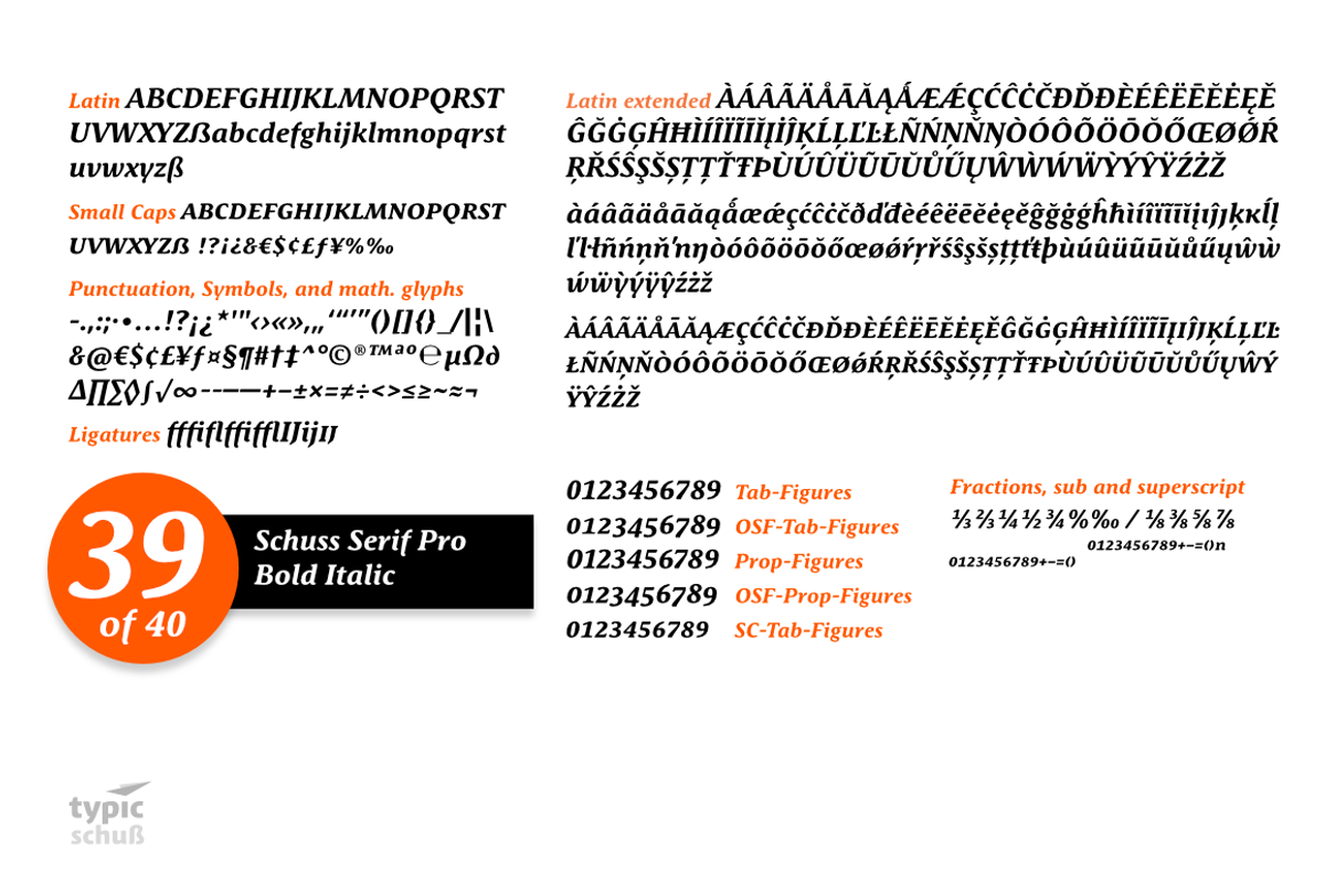 SchussSerifProBoldIta No.39 (1 Font) preview 3