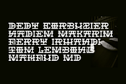 Felarium – Monumental Roman Display, a Serif Font by Erifqizefont (Thumbnail 5 of 8)