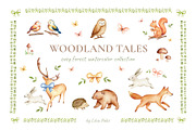 Woodland Watercolor Illustrations, an Animal Illustration by Liliia Polos Illustration (Thumbnail 1 of 16)