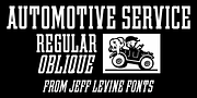 Automotive Service JNL, a Slab Serif Font by Jeff Levine Fonts (Thumbnail 1 of 5)