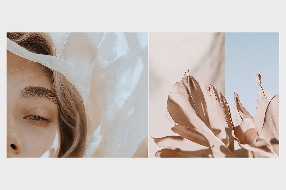 900 Pro Bundle Aesthetic Stock Image, a Beauty & Fashion Photo by Goashape Studio (Photo 7 of 33)