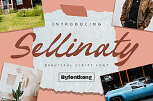 Sellinaty - Beautiful Script Font