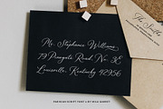 Parisian Vintage Calligraphy Script, a Script Font by Mila Garret (Thumbnail 4 of 13)