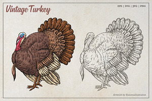 Vintage Turkey Vector Art, an Animal Illustration by Kusumaillustration
