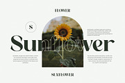 Nampy Elegant Serif Font, a Serif Font by Graphicxell (Thumbnail 9 of 10)
