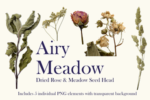 Airy Meadow – Dried Rose & Meadow Se