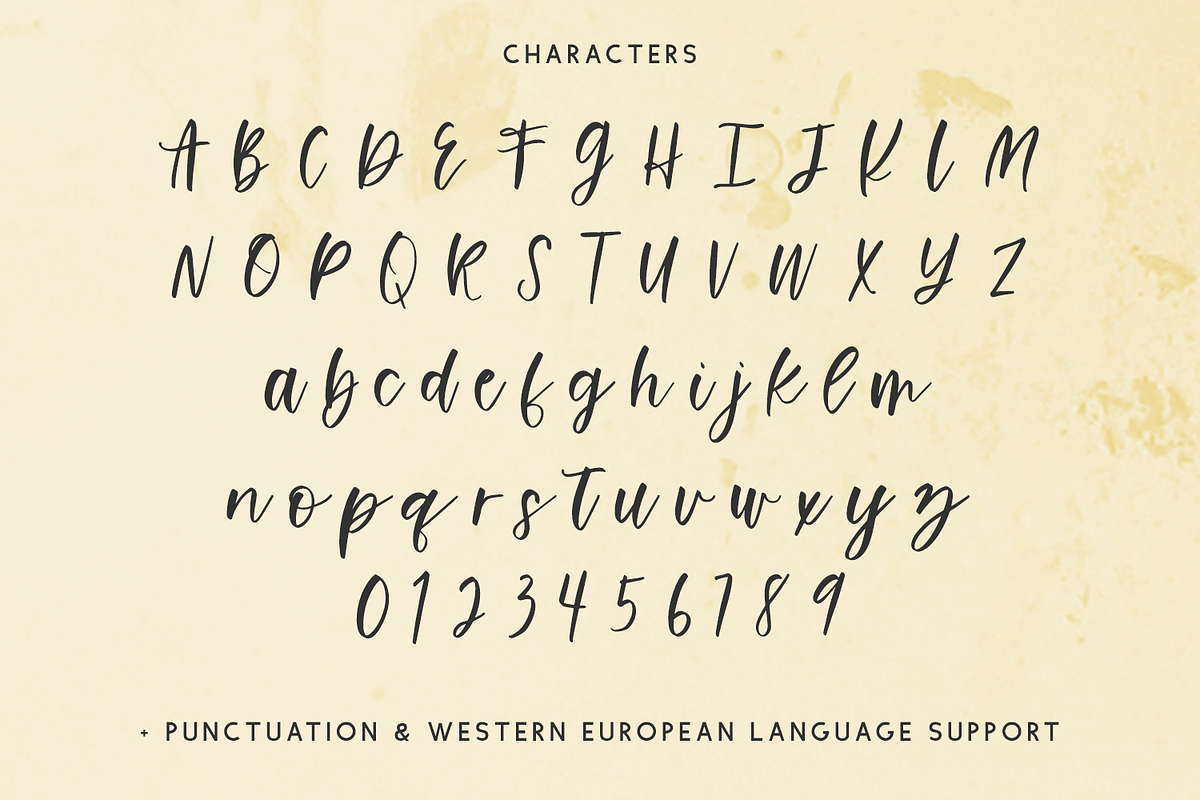 Flashing Script, a Handwritten Font by Beck McCormick (Photo 10 of 10)