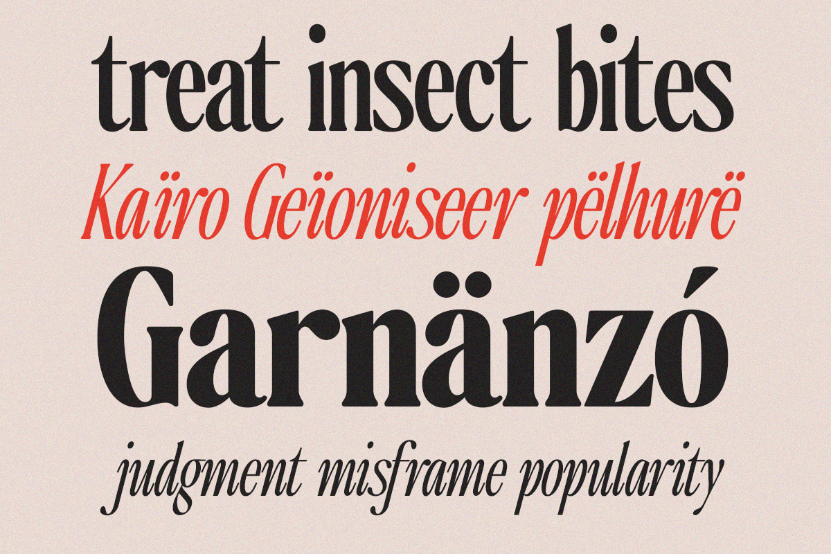 The Qualified Family (54 Fonts), a Serif Font by Positive TypeFoundry (Photo 10 of 15)