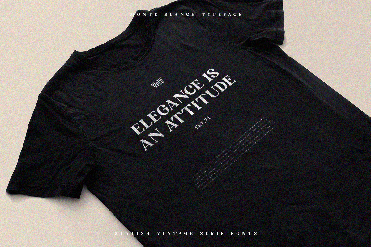 Monte Blance - Vintage Stylish Serif, a Serif Font by TypeFounder (Photo 7 of 10)