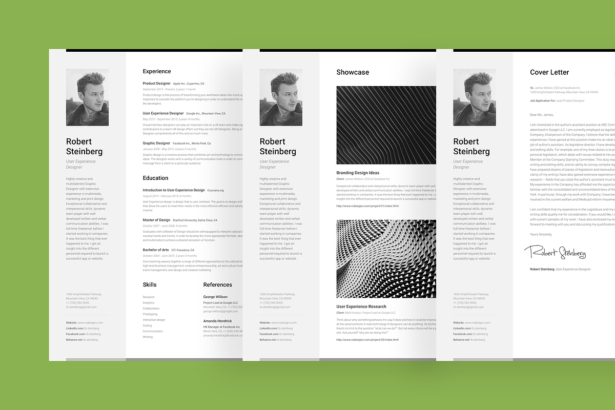 Big Set of Professional Resumes 1, a Resume Template by DEFNST (Photo 11 of 14)