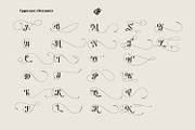 Pretty Boy - Decorative Serif family, a Serif Font by creativemedialab (Thumbnail 19 of 21)