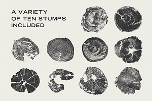 Wood Tree Ring Stump Vectors