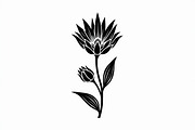 Black Floral Silhouette Set, an Illustration by balal (Thumbnail 18 of 21)