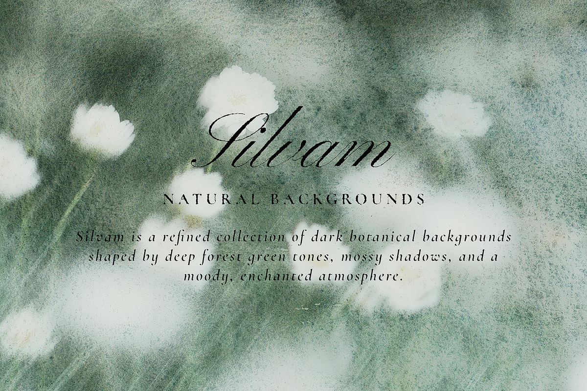 Silvam - Natural Backgrounds, a Background Graphic by Watercolor_Ma (Photo 9 of 9)