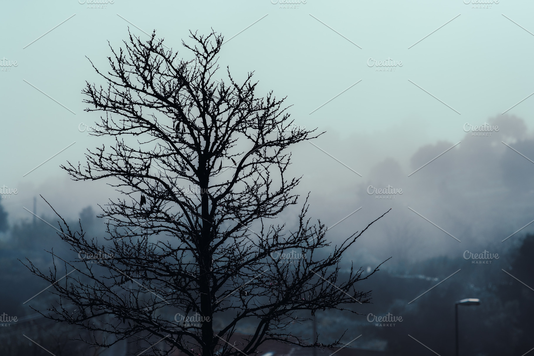 Bare tree in foggy blue landscape, a Nature Photo by SkyNext