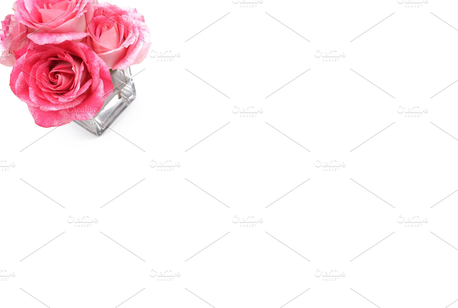 Pink Roses in Vase White Background, a Nature Photo by Happy Soul Studio