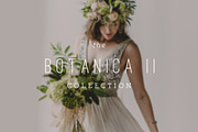 Botanica II ProPhoto 6 Collection, a Websites & App Template by Red Met Yellow Creative (Thumbnail 1 of 15)