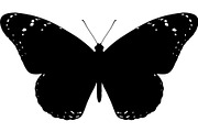 Butterfly Silhouette Bundle, an Object Graphic by Designer_Momina (Thumbnail 8 of 20)