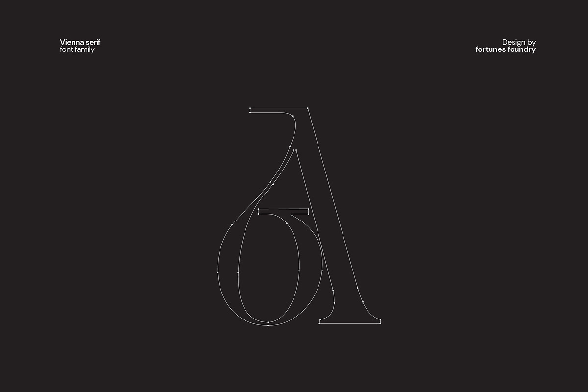 Vienna Modern Serif Font, a Serif Font by Fortunes Co (Photo 4 of 15)