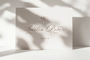 La Rumba - Modern Calligraphy Font, a Font by Blessed Print (Thumbnail 5 of 20)