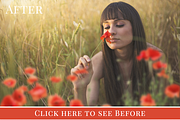 Red Poppies photo overlays set, an Object Graphic by BrownLeopard (Thumbnail 5 of 6)