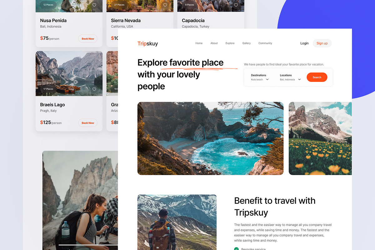 Landpay - Landing Page UI-Kit, a Landing Page Template by mz-studio (Photo 6 of 6)