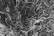 Warped Marble, a Texture Graphic by Jennifer Lauren Creative (Thumbnail 19 of 20)