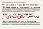 Cerberus - Serif font family, a Serif Font by Artistic & Unique (Thumbnail 5 of 15)