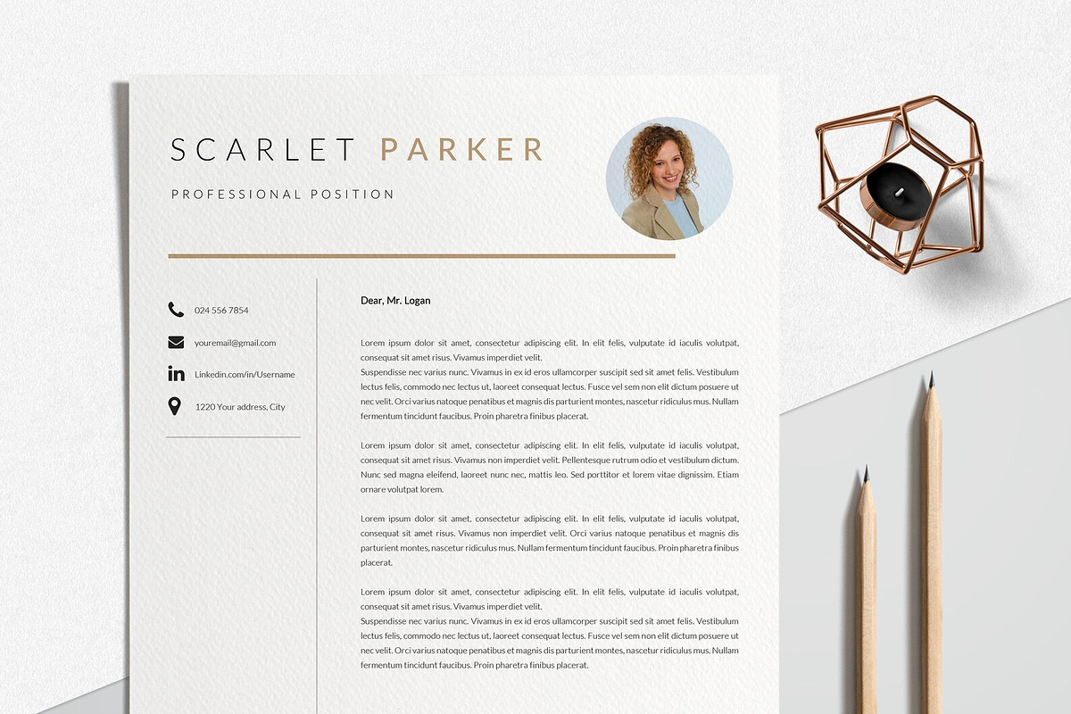Resume Template Creative, a Resume Template by LucaTheme (Photo 3 of 10)