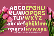 Demoise - 2 Font Styles (28 Fonts), a Sans Serif Font by Maculinc Type (Thumbnail 8 of 9)
